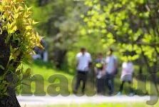 91麻豆下载-探寻成人影音合法与道德的边界，91麻豆下载现象解密