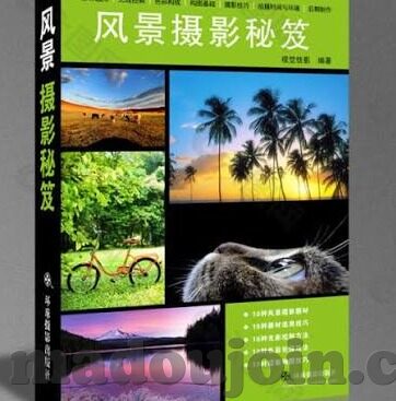 91视大象传媒-91视大象传媒，数字时代的文化交汇与艺术创新