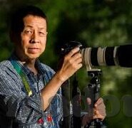成人幼女亚洲在线视频网站-成人幼女内容在亚洲在线视频网站的现象与影响
