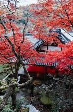 果冻传媒资源网站-探索果冻传媒资源网站的多元化与影响