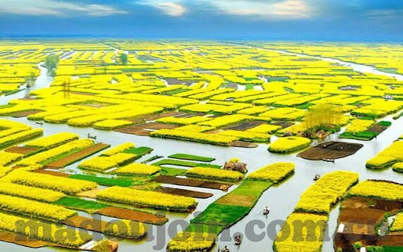 久涩涩色视频麻豆伊人-探索光影之间的真实魅力——久涩涩色视频与麻豆伊人的艺术演绎