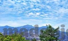 麻豆传媒女主播-麻豆传媒，透视网络直播的多元化与挑战