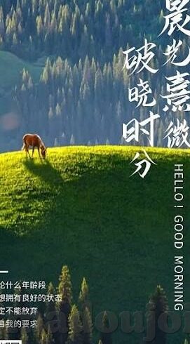 麻豆乐园APP-探索多元乐趣，麻豆乐园APP的魅力之旅
