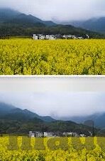 麻豆映画传媒入口-诱人视界，揭秘麻豆映画传媒的魅力入口