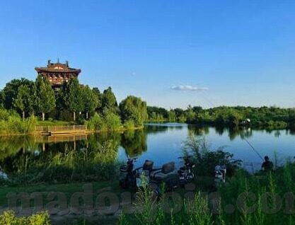 欧美成人色视频-平台的多样性与影响分析