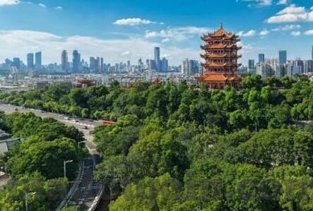 糖心app破解版无限次数-探索数字娱乐边界，理解对糖心app非正规访问的深思